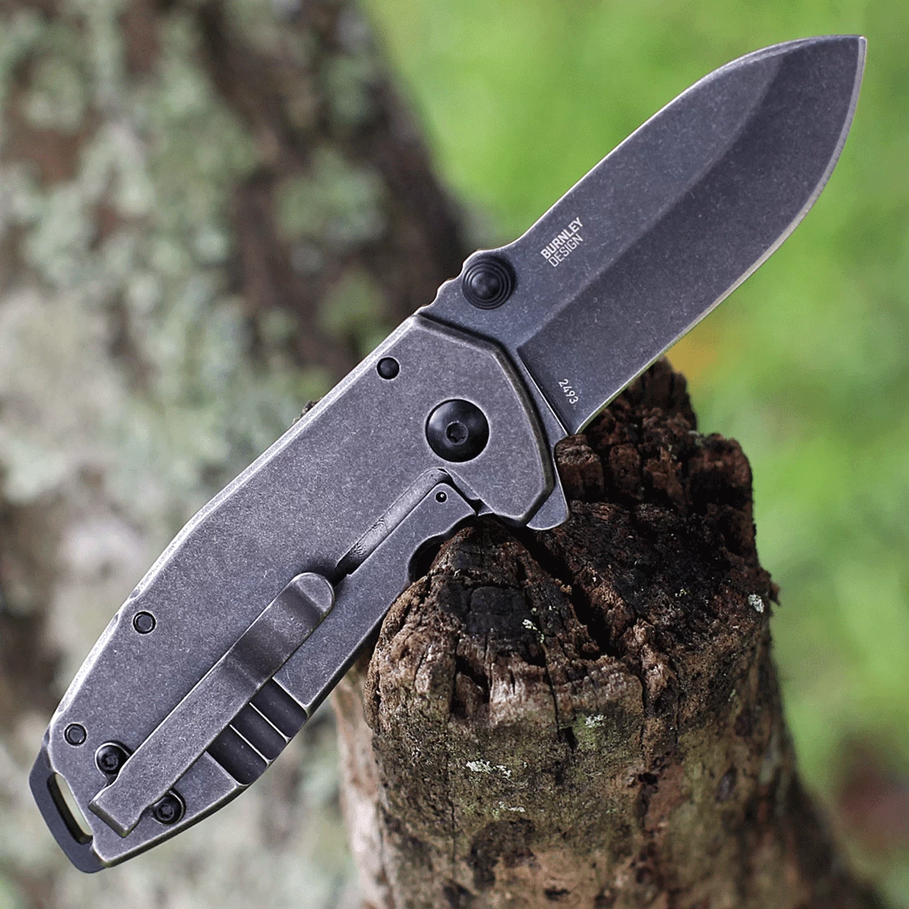 CRKT Squid Assisted Flipper 2493, 2.37" 8Cr14MoV Stainless Steel Black Stonewashed Plain Blade, Black Stainless Steel Handles - Image 2